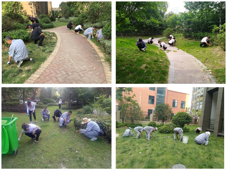 OB视讯·(中国游)官方网站