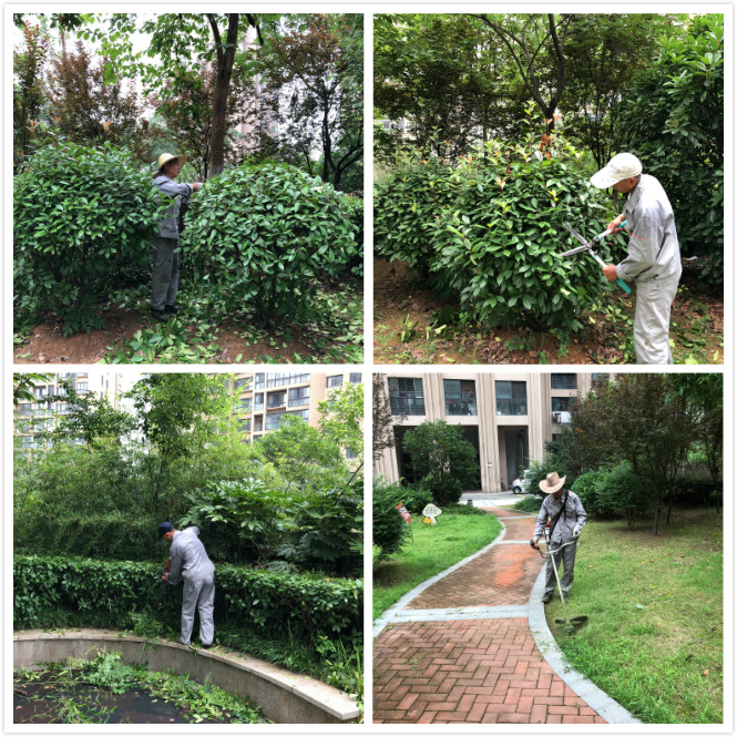 OB视讯·(中国游)官方网站